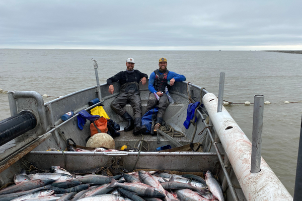 2022 Record Sockeye Salmon Run in Bristol Bay, AK